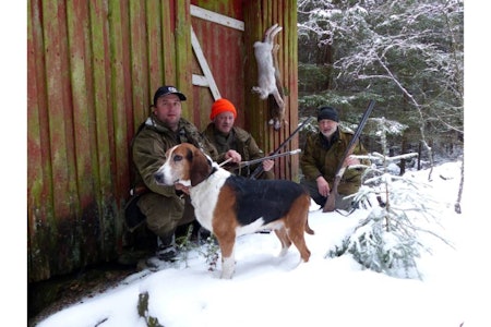 Historisk: Her er hund, jegere og harer fotografert ved uthuset til Ludvig Ørnelund. Fra venstre: Ole Ronny Kirkerød, Jens-Vilhelm Johansen og Per Kirkerød.  harejakt med drivende hund haldenstøver