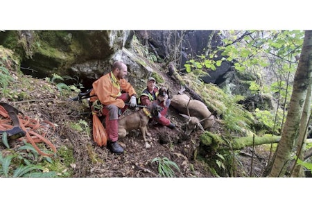 I mål: Etter et langt ettersøk ble bukken funnet av dobbelekvipasjen. Unghunden ble brukt på sporing i 600–700 m, før den erfarne hunden overtok med løsarbeid i tre km. I mål: Etter et langt ettersøk ble bukken funnet av dobbelekvipasjen. Unghunden ble brukt på sporing i 600–700 m, før den erfarne hunden overtok med løsarbeid i tre km.