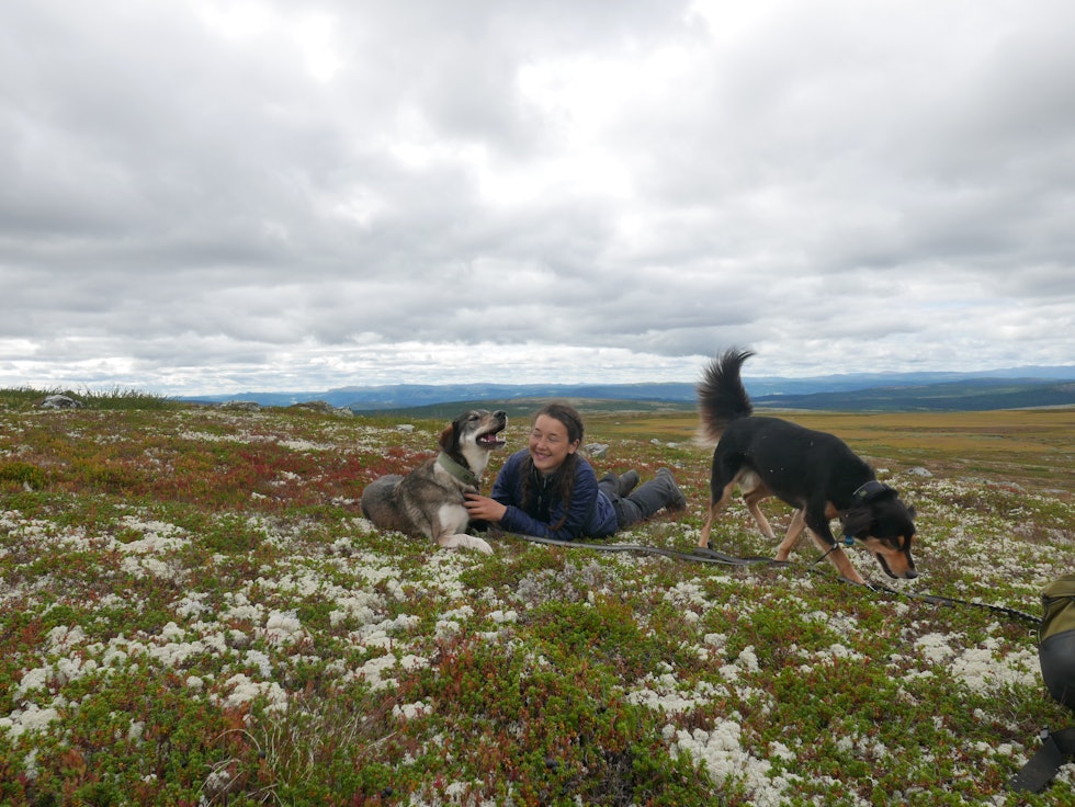 TID FOR KOS: Leia nyter velfortjent kos mens Lasse fortsatt ikke er ferdig med å utforske. Foto: Rebecca Wang TID FOR KOS: Leia nyter velfortjent kos mens Lasse fortsatt ikke er ferdig med å utforske. Foto: Rebecca Wang