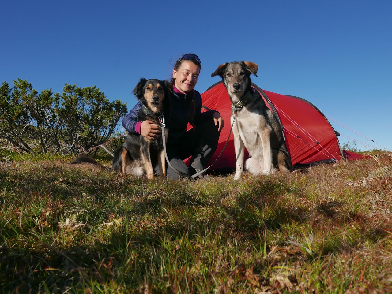TURKAMERATER: Sammen med Lasse og Leia gikk jeg en 220 kilometer lang fjelltur i den norske fjellheimen. Foto: Rebecca Weng