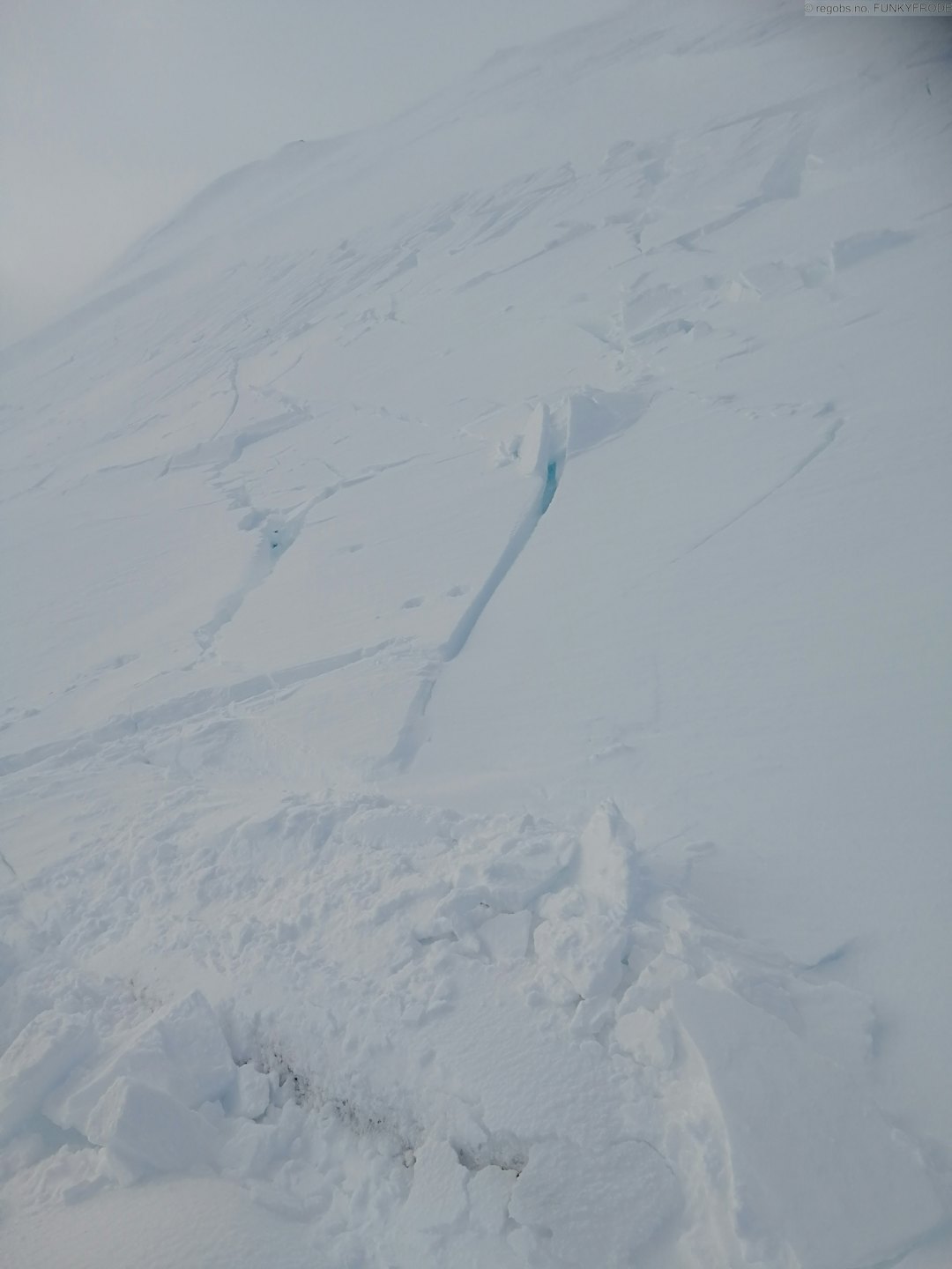 LØSNET: Fjellsiden løsnet rett ved toppen av Mannfjellet tidligere denne uka. Foto: Regobs/Funkyfrode Mannfjellet
