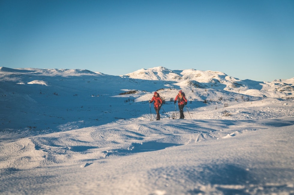 FJELLSKITUR: Med fjellski ligger mye til rette for fine turer i vinterhalvåret. Foto: Yngve Ask