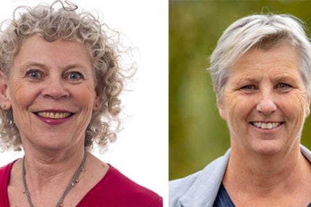 Kjersti Gurholt, professor ved NIH og Annette Bischoff, senterleder for bærekraftig omstilling ved Universitetet i Sørøst-Norge