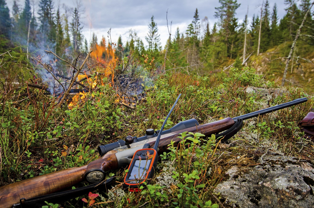Bål, sol og los: Rådyrjakt byr på en kombinasjon ikke engang potetgull og pils kommer i nærheten av å matche! rådyrjakt kortbeint hund dachs unghund