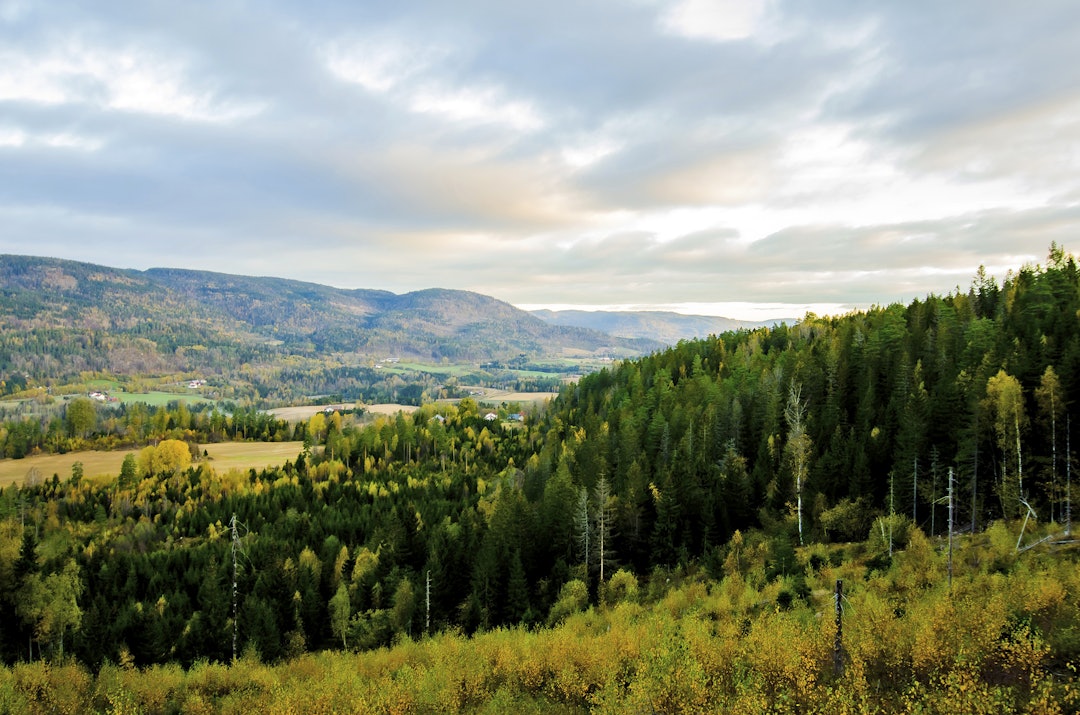 Ny jaktdag, nye muligheter: Sola stiger over åskammen i øst og markerer startskuddet for en ny jaktdag Ny jaktdag, nye muligheter: Sola stiger over åskammen i øst og markerer startskuddet for en ny jaktdag