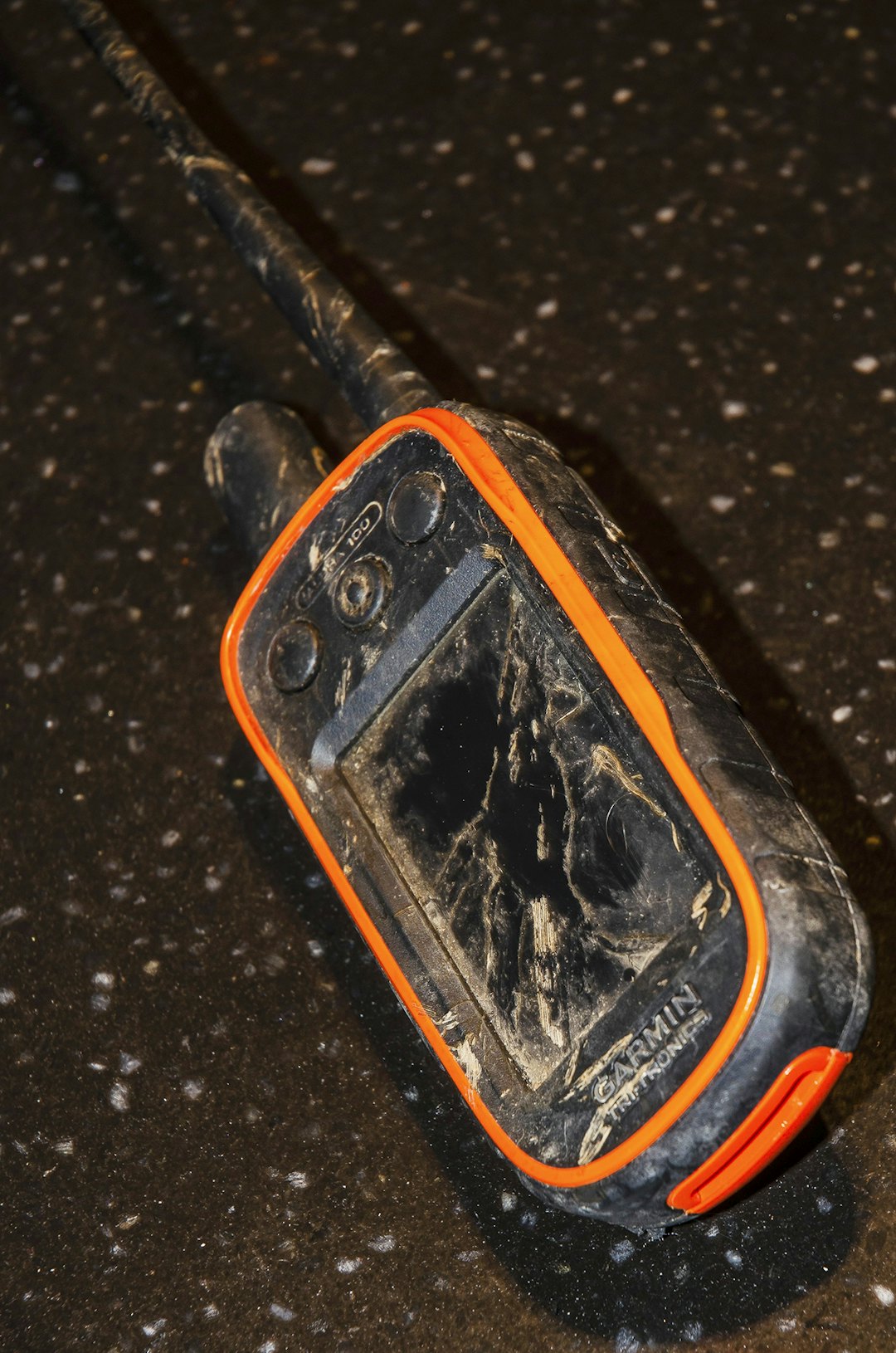 Diana vs. Murphy: Året etter dukker peileren opp under grunneierens traktordekk – utrolig nok uskadet! Slo jaktlykken virkelig Murphy? Diana vs. Murphy: Året etter dukker peileren opp under grunneierens traktordekk – utrolig nok uskadet! Slo jaktlykken virkelig Murphy?