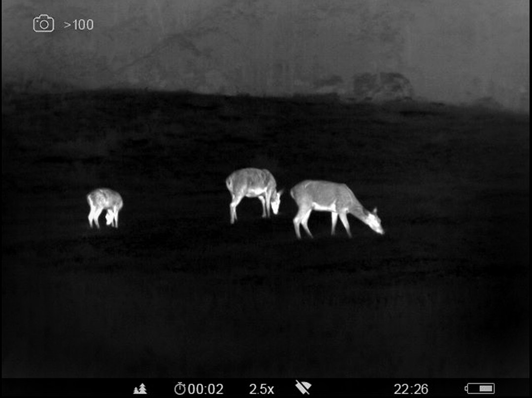 termisk kikkert kunstig lys viltloven miljødirektoratet hjort hjortejakt