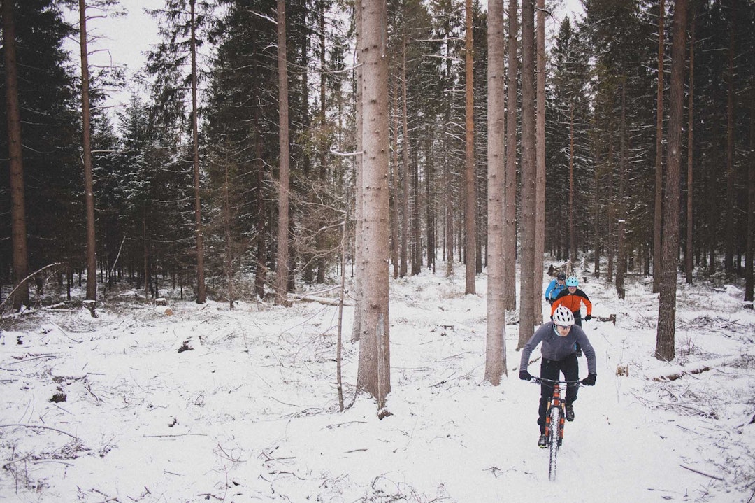 FINE FORHOLD: Øyvind Gjermshus, Trond Vidar Storhaug Kjellén og Jostein Erlandsen på vei nordover i Maridalsrunden. Foto: Kristoffer H. Kippernes. stisykling i maridalsrunden i Oslo