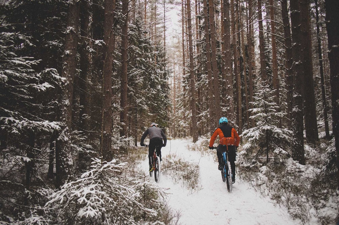 DYPE SKOGER: Maridalsrunden gir deg litt av alt; dype skoger, bra utsikt, og fine flytstier. Foto: Kristoffer H. Kippernes. stisykling i Maridalsrunden i Oslo