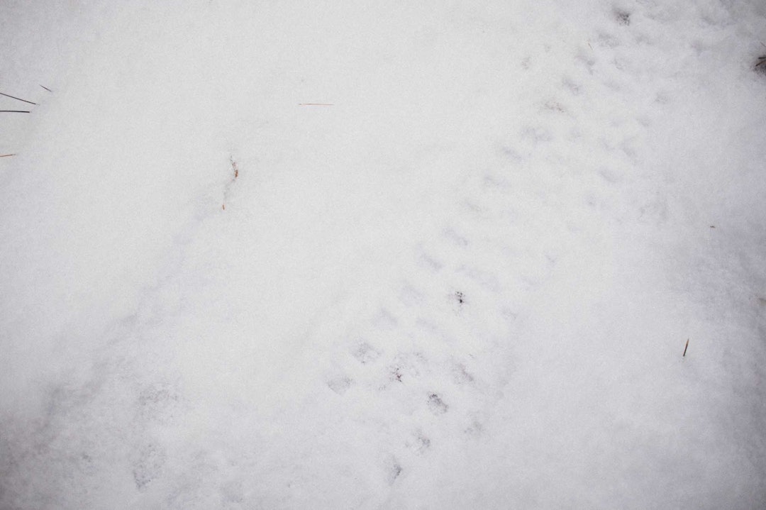 OK GREP: Sykler du uten piggdekk må du regne med at det slipper litt, men det var overraskende bra grep med vanlige stidekk 5. desember 2021. Foto: Kristoffer H. Kippernes. stisykling i maridalsrunden i Oslo