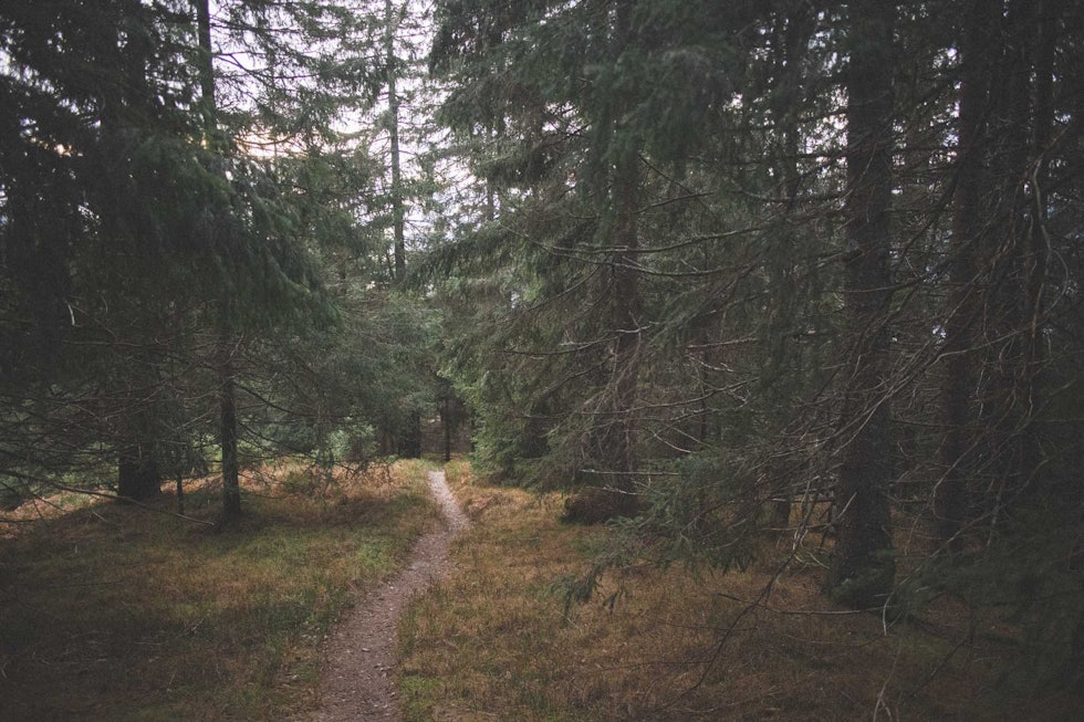 FINN DIN EGEN: Utforkjøringer man bare trodde fantes på film, finnes også i virkeligheten. Du må bare lete litt ekstra, av og til. Foto: Kristoffer H. Kippernes. stisykling aktivitet