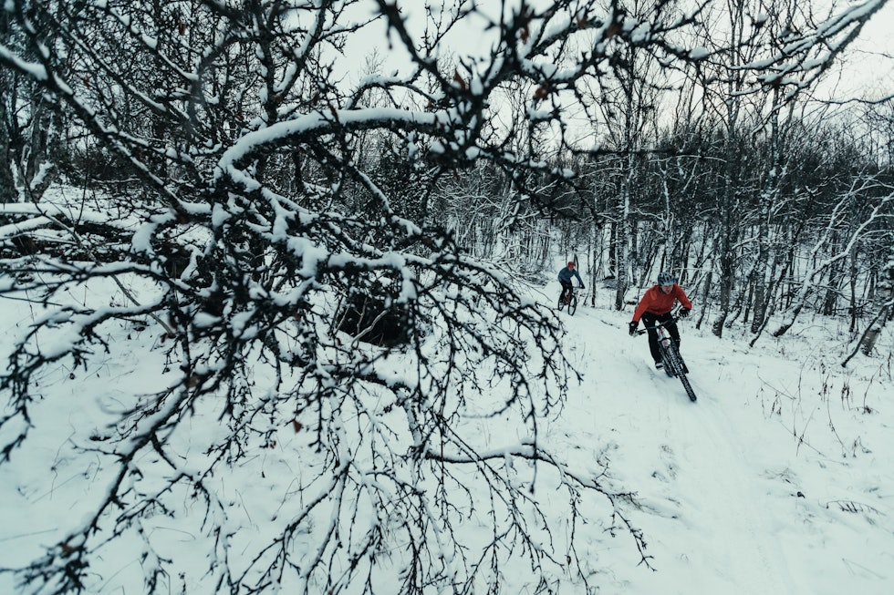 Hvit bikepark: Erik Eldjarn og Morten Kvaal setter pris på frosne, snødekte flytstier - der røtter og steiner har blitt som visket ut av hardpakket snø. 