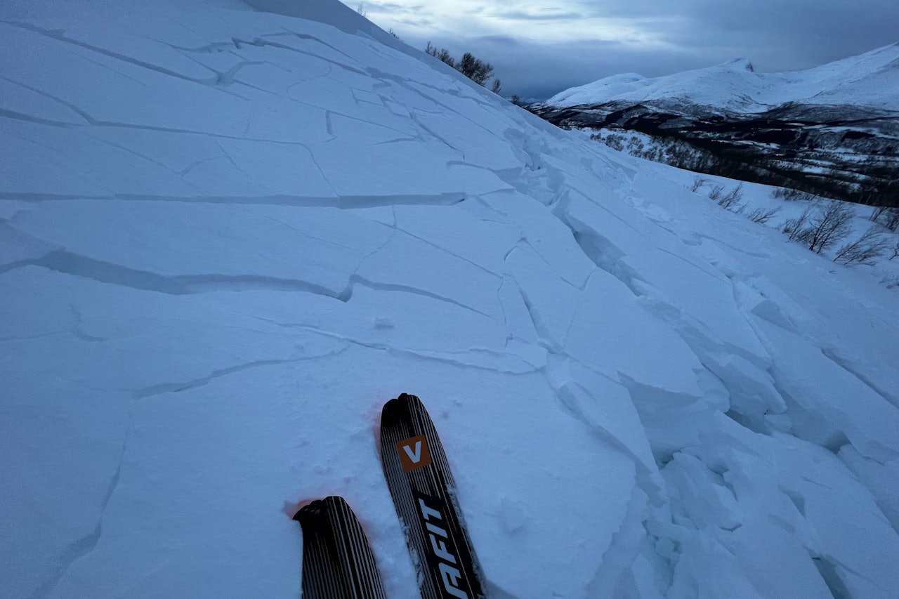 SNØSKRED: Denne uken ble det observert et skred ved Østerkløft i Fauske. Skredet hadde en bruddkant på 100 meter.Foto: Torbjørn Pedersen Snøskred Fauske