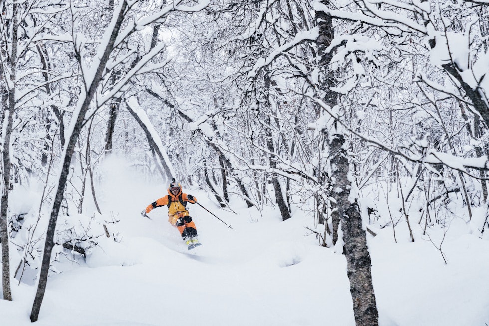 RETT FRAM: Er du skikjører og det er et godt snøår, finner du skikjøring fra Fjellheisen i Tromsø. Nikolai Schirmer og Kristofer Turdell gjør seg klar. Foto: Emrik Jansson RETT FRAM: Er du skikjører og det er et godt snøår, finner du skikjøring fra Fjellheisen i Tromsø. Nikolai Schirmer og Kristofer Turdell gjør seg klar. Foto: Emrik Jansson