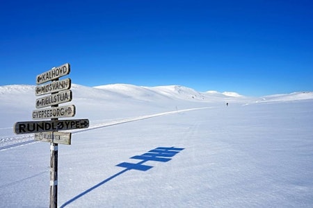 LANGSTRAKT: Løypenettet ved Gvepseborg strekker seg i ulike retninger. Alle tre turforslagene i artikkelen går innom dette løypekrysset. Foto: Erlend Larsen LANGSTRAKT: Løypenettet ved Gvepseborg strekker seg i ulike retninger. Alle tre turforslagene i artikkelen går innom dette løypekrysset. Foto: Erlend Larsen