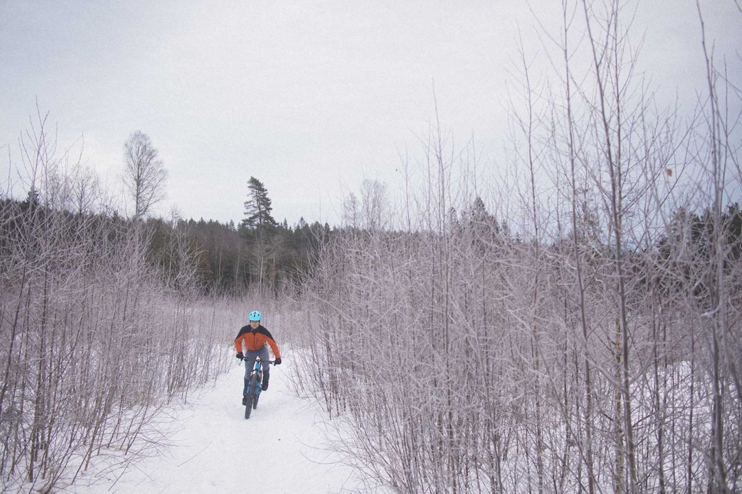 VINTERLANDSKAP: Nattefrosten hjelper på milde vinterdager, og spesielt når snøen er tråkket kompakt og hard. Foto: Kristoffer H. Kippernes. stisykling vinter piggdekk oslo
