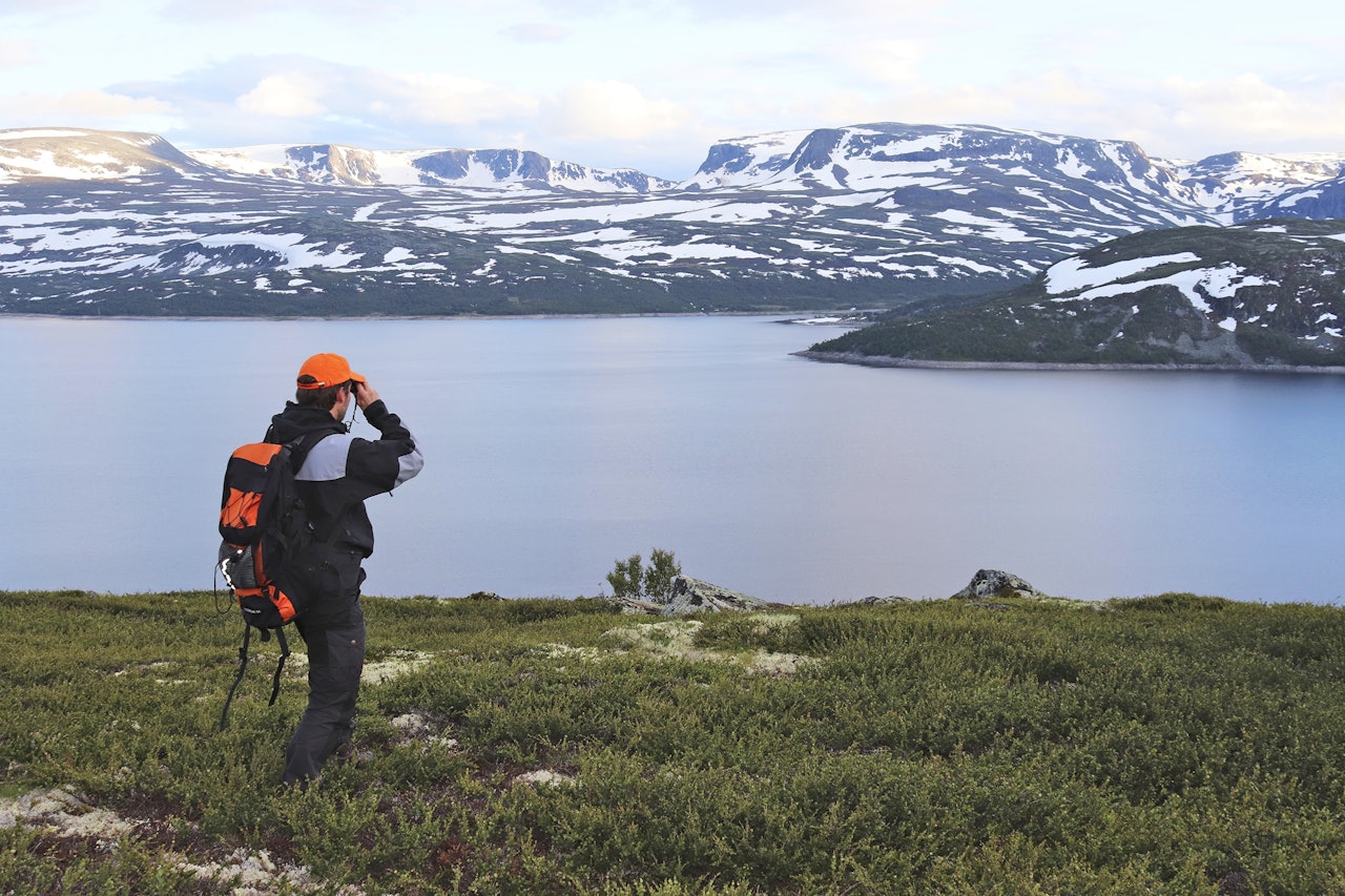 STATSKOG UTVIDER: Med 1,2 millioner mål vil det bli enda større plass å boltre seg på for jegere. (Ill.foto: Håvard H. Holdø) STATSKOG UTVIDER: Med 1,2 millioner mål vil det bli enda større plass å boltre seg på for jegere. (Ill.foto: Håvard H. Holdø)