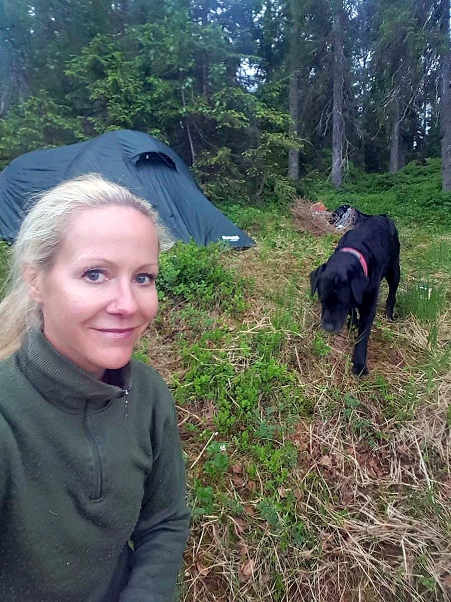 Jeger dame jakthund i skogen foran telt