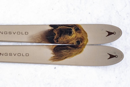 KONGSVOLD JAKTSKI: Åsnes Kongsvold er testens beste jaktski hvis du skal gå litt på hardt underlag, men mest i løssnø. Åsnes Kongsvold jaktski til test i snøen