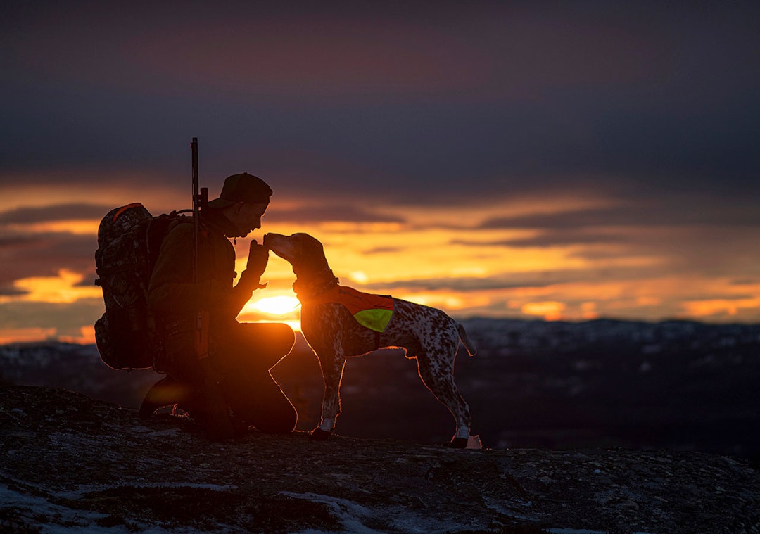 Godt eksponert: Fredrik Klockes bilde av solnedgangen er perfekt eksponert. Jeger og fuglehund i solnedgang