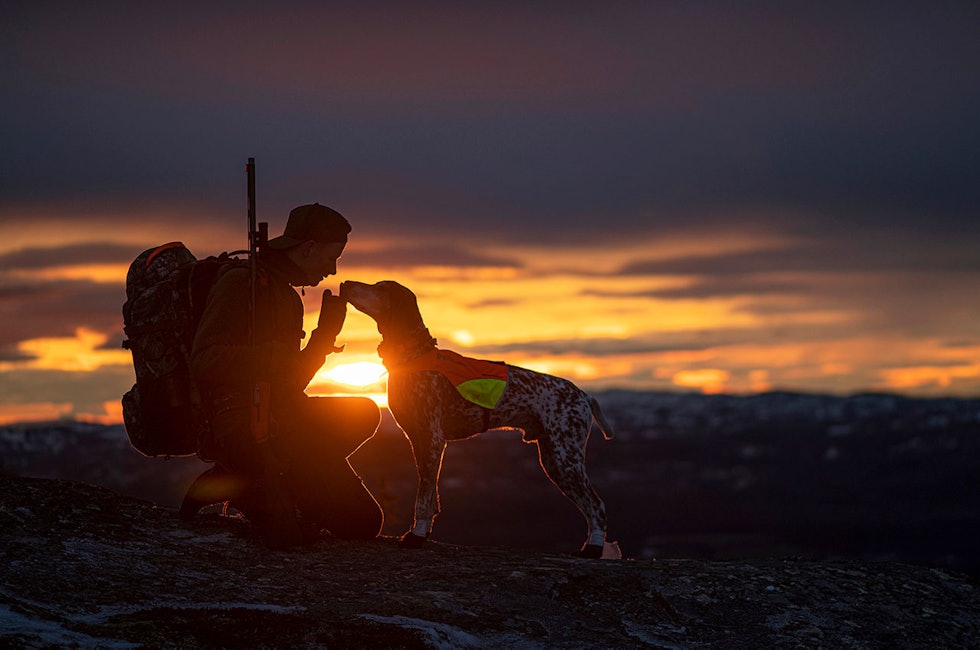 Jeger og fuglehund i solnedgang