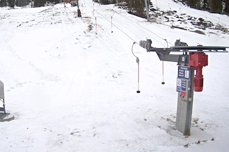 IKKE ÅPENT: Skisenteret Høgevarde er vanligvis er pudderparadis, men denne vinteren er det knapt nok snø der, og heisene er stengt. Derfor får alle som har kjøpt sesongkort pengene tilbake. Foto fra Høgevardes webkamera 27. januar. Høgevarde refunderer alle sesongkort på grunn av snømangel