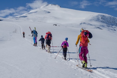 VARSOM UTVIDER: Fra mandag 7. februar får Helgeland daglig skredvarsling på varsom.no. Dette er fra det populære toppturfjellet Høgtuva i Rana kommune. Foto: Ole Martin Krokstrand Barn og voksne på topptur