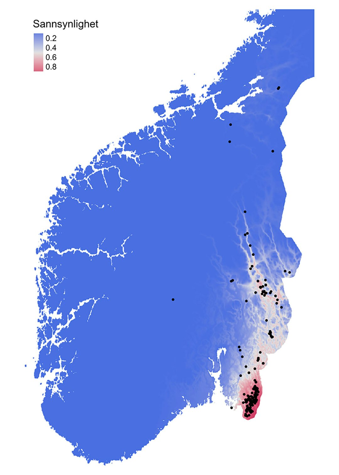 Kartet viser sannsynligheten for at villsvin er til stede i et område. Skalaen går fra blå områder med lav sannsynlighet til røde områder med høy sannsynlighet for villsvin. Modellen er basert på observasjoner av villsvin fra kamerafeller (SCANDCAM), artsobservasjoner, fallviltregisteret og skutte villsvin. Kart: Neri Horntvedt Thorsen, NINA Modellert utbredelse av villsvin på kart over Sør-Norge.