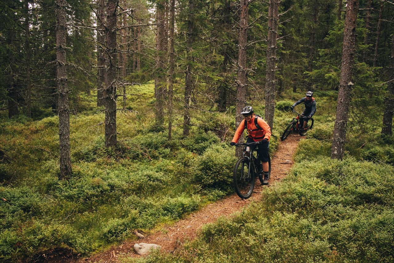 SMALE STIER: Trysil har markert seg som landets største destinasjon for terrengsykling, med både tilrettelagte og naturlige stier. Foto: Kristoffer H. Kippernes. stisykling i Trysil