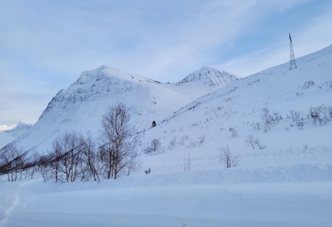 SYLVKALLEN: Skredet gikk bak ryggen midt i bildet. Sylvkallen er toppen til venstre i bildet. Foto: Volda og Ørsta Røde Kors skredgruppe fjell med snø