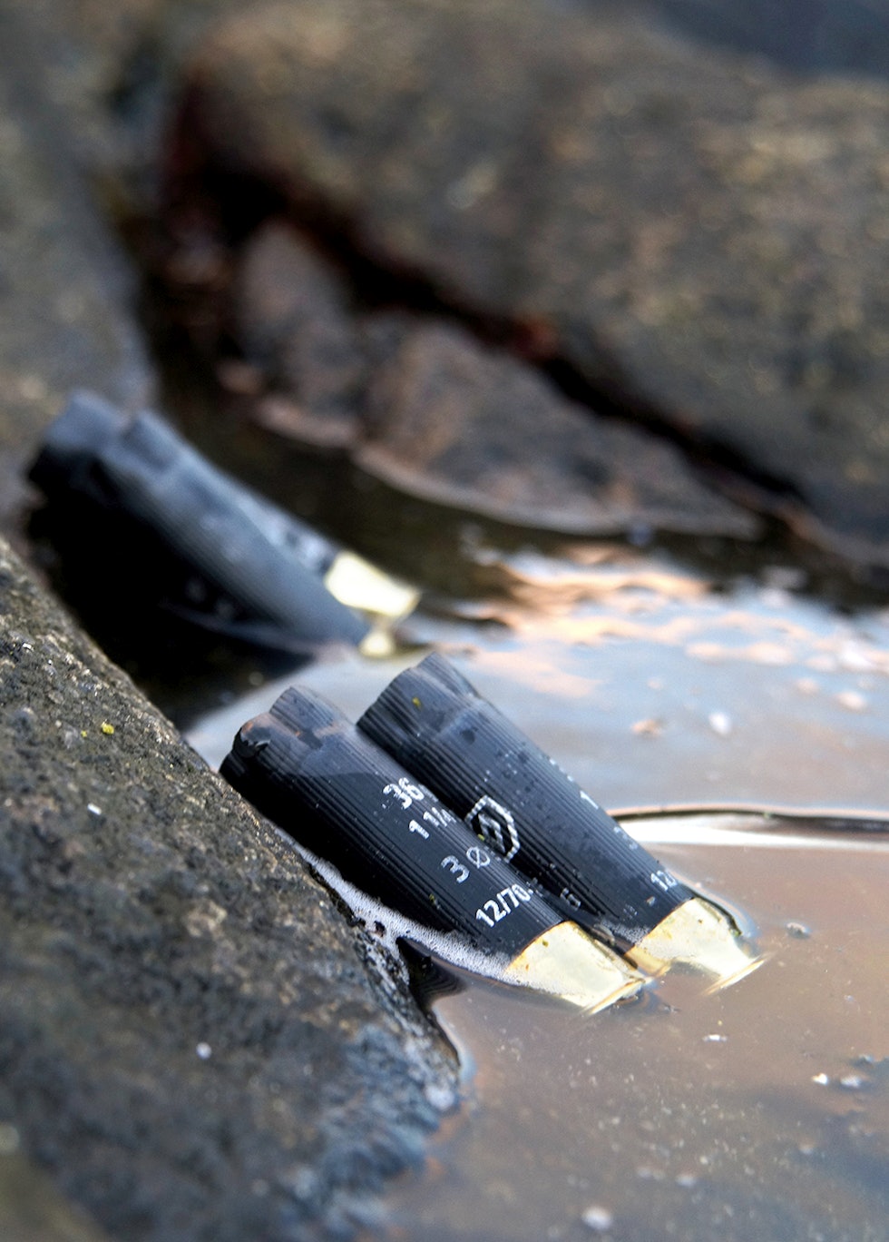 Hyppige skudd: Mange skytemuligheter resulterer i ditto med tomhylser. Men vi rydder nøye bort etter jakta. Hyppige skudd: Mange skytemuligheter resulterer i ditto med tomhylser. Men vi rydder nøye bort etter jakta.