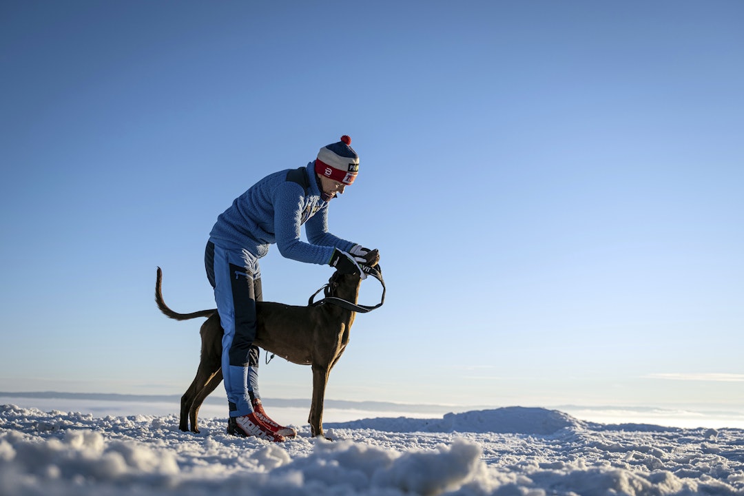 Positiv lås: Om du låser hunden mellom beina, er det lettere å ta på trekksele og potesokker. Men det krever trening, slik at hunden forbinder denne posisjonen med noe positivt. Lena Boysen monterer trekkseele på hund før snørekjøring.