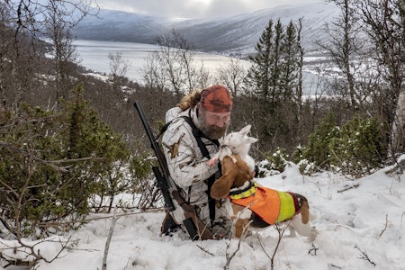 Rødlista eller ei? Haren er et eksempel på en art som vi gjerne skulle hatt bedre dokumentasjon på. jeger i vinterkamuflasje med felt hare og beagle