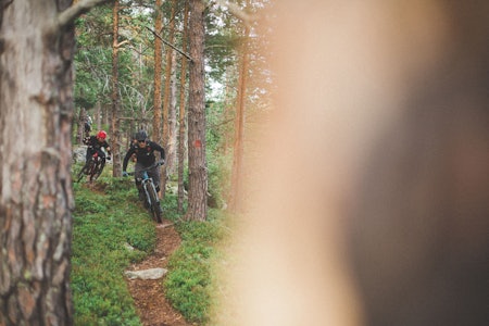 GJENG I FLYTSONEN: Oppdal er undervurdert som stisykkeldestinasjon. GJENG I FLYTSONEN: Oppdal er undervurdert som stisykkeldestinasjon.