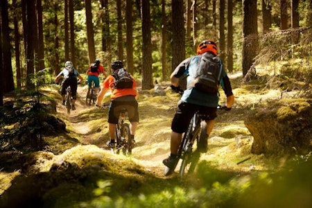 SOSIAL SAMLING: Nesbyen Trail Camp har blitt en fast sesongåpning for mange stisyklister. Foto: Kristoffer H. Kippernes.  sykling i Nesbyen