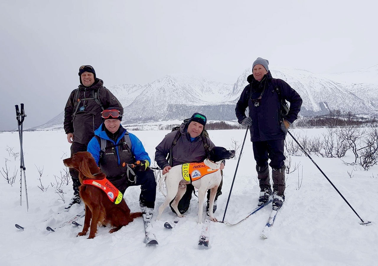 To hundeførere og to stående fuglehunder, samt to dommere under NM Vinter på Andøya
