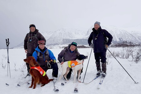Gull og sølv fra NM Vinter 2019: Ronny Jørgensen (foran t.v.) med irsksetteren Tjikkom av Miessevarre har vist at irsksettere kan nå langt i NM-sammenheng, med sølv i 2019. Her sammen med Frode Aunan og pointer Ørntuas Primus (foran t.h.). To hundeførere og to stående fuglehunder, samt to dommere under NM Vinter på Andøya
