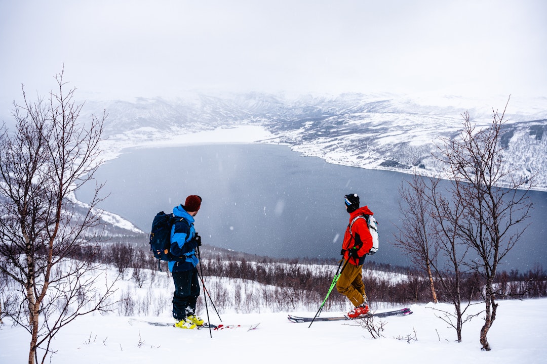 LOKALE GUIDER: Brødrene Jacobsen vet hvor vi kan kjøre flott skog med utsikt over fjord, fjell helt tilbake til Fjellkysten. Foto: Kyrre Buxrud