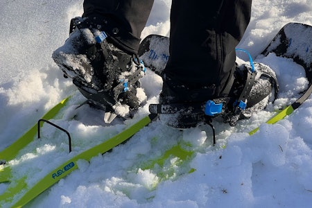 tubbs flex alp woman 25 truge med hælløfter oppspent til test i snøen