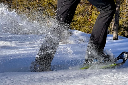 Nærbilde av Tubbs Flex Alp Womans 24 truger i snøen