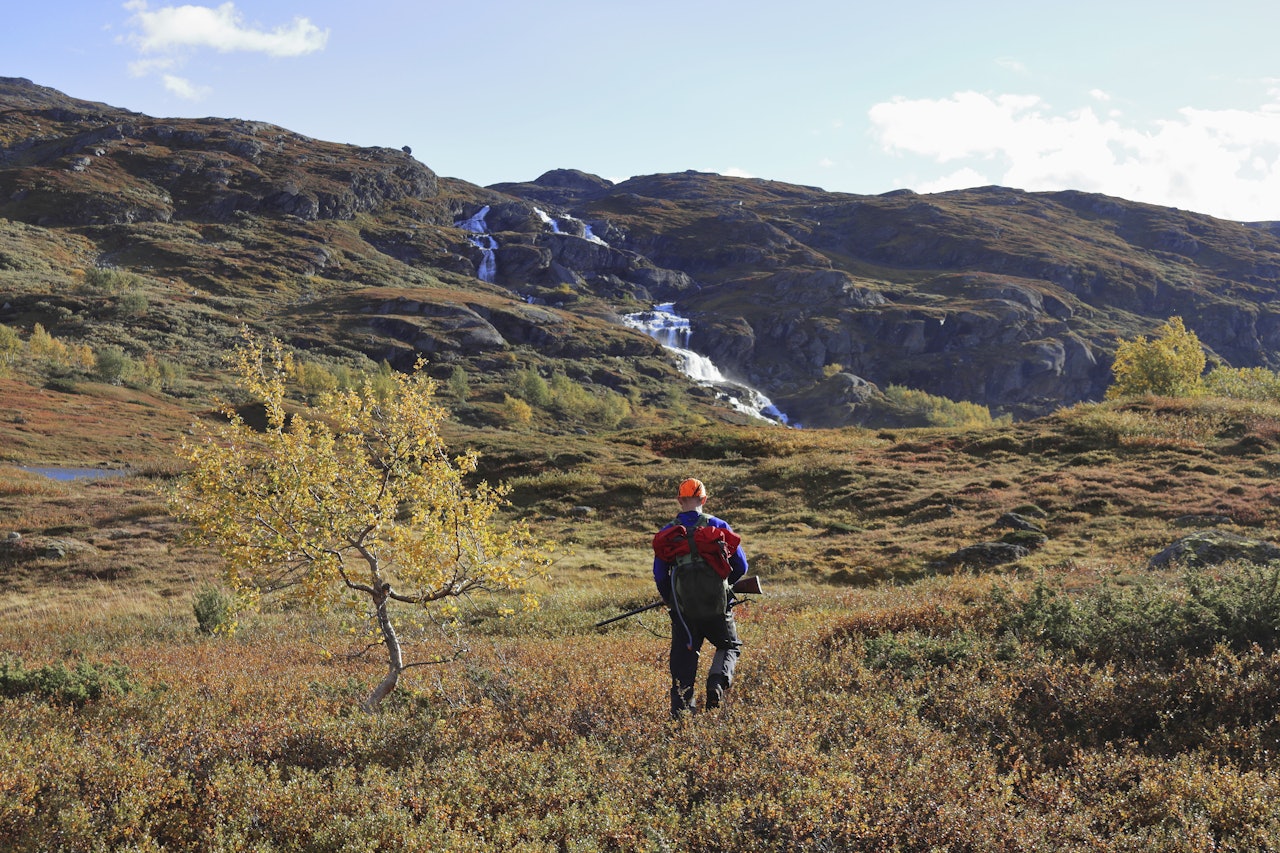 Rypejeger i fjellterreng med høstfarger.