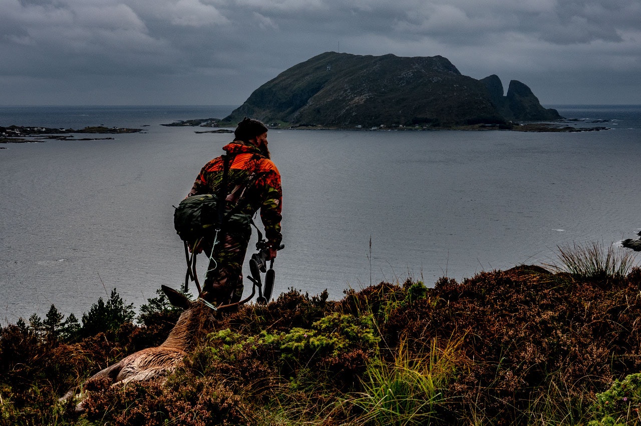 hjortejeger sleper felt hjortebukk i vestlandsnatur.