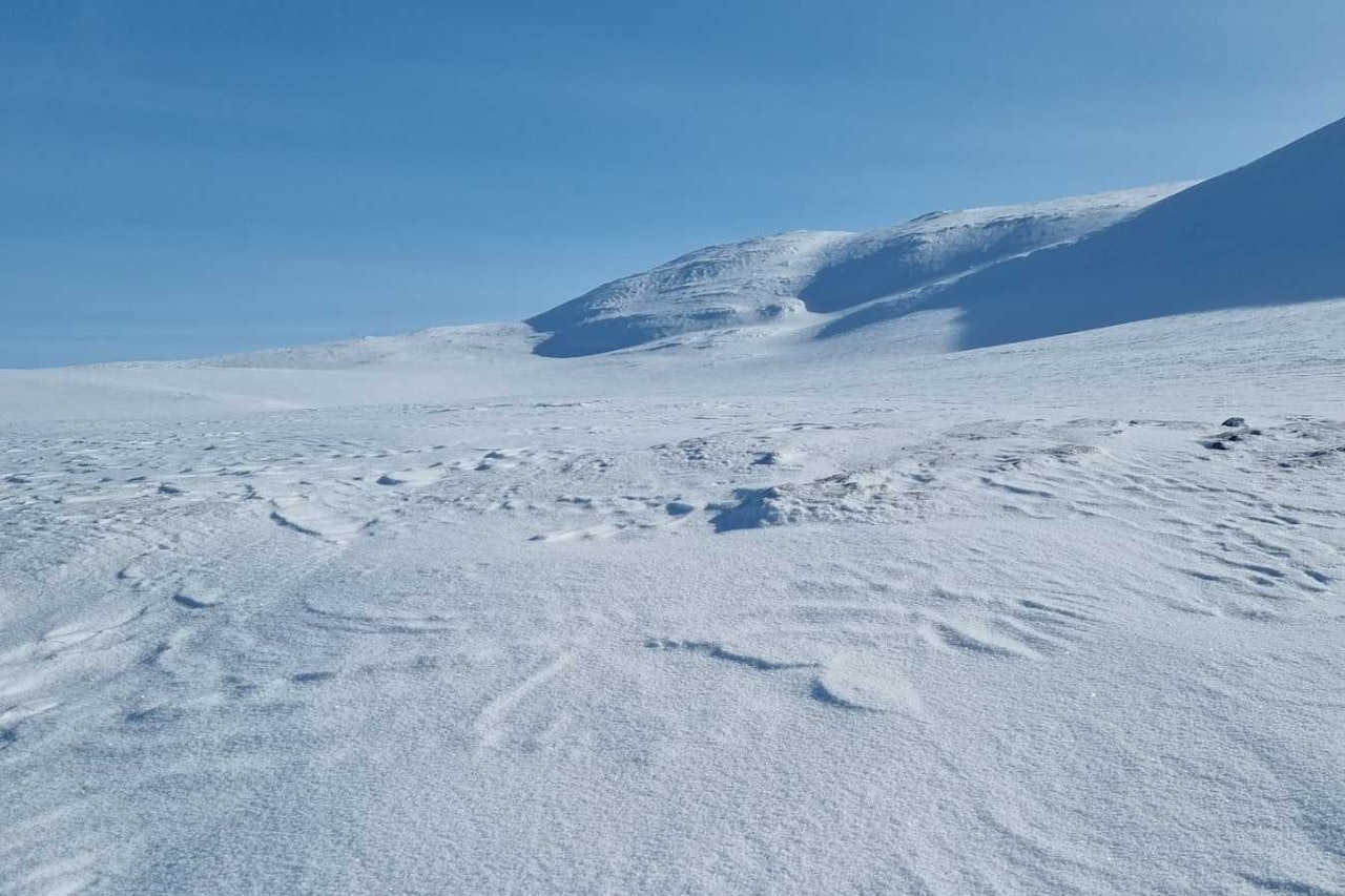 SKREDFARE OG HARDT FØRE: Det er ventet betydelig skredfare i Nordland den siste. I tillegg er det hard skare enkelte steder i Nordland, som på bildet. Foto: Regobs Regobs.