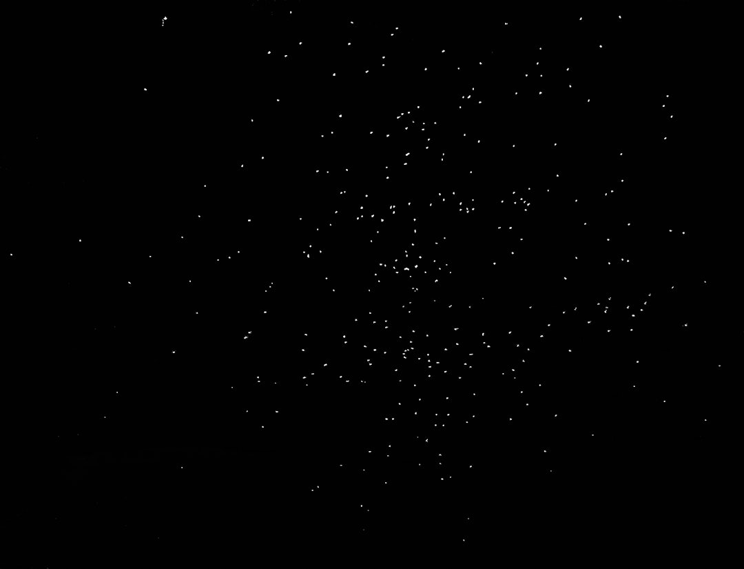 Haglsverm fra Nobel FOB Viper leirduepatron skutt med Browning Maxus. Haglsverm fra Nobel FOB Viper leirduepatron skutt med Browning Maxus.