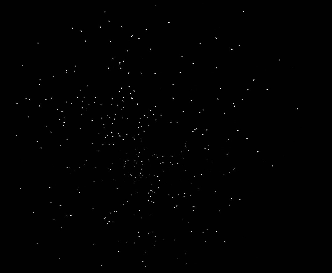 Haglsverm fra Nobel FOB Viper leirduepatron skutt med Khan K500. Haglsverm fra Nobel FOB Viper leirduepatron skutt med Khan K500.