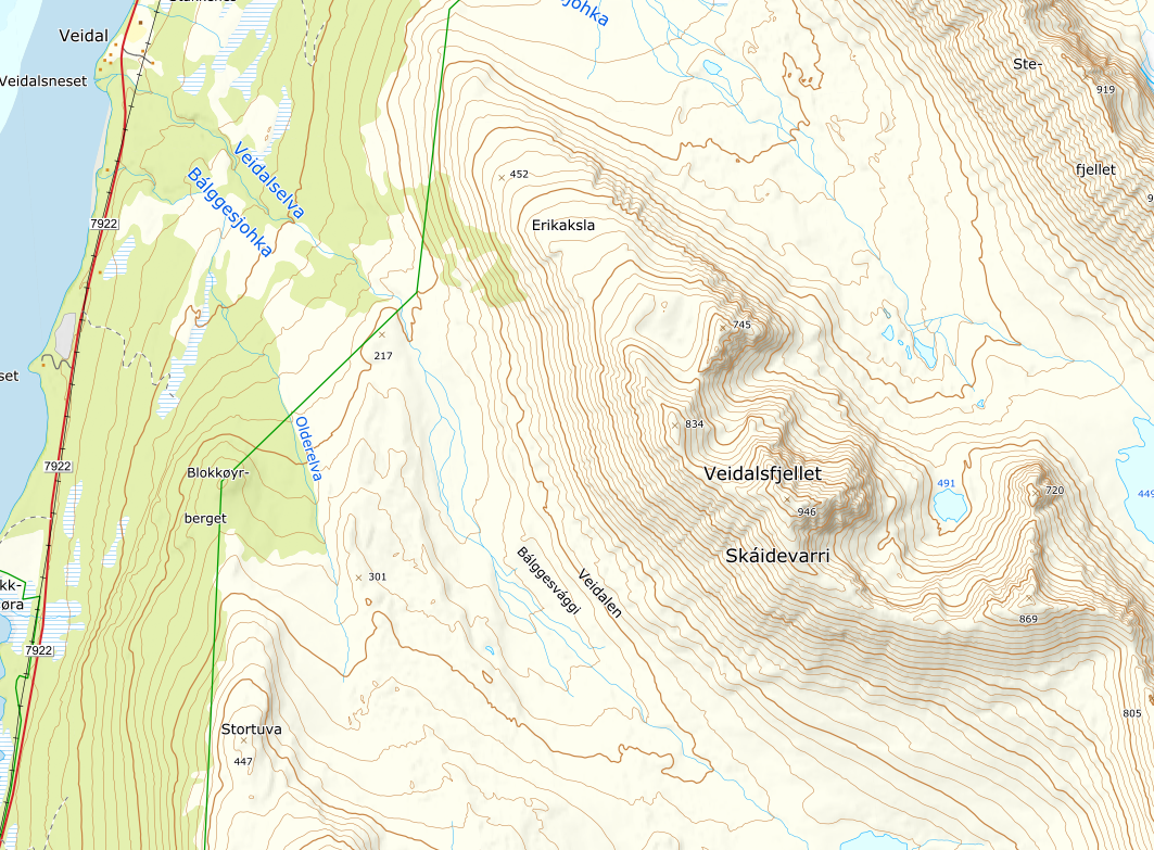 FJELLET: Her ser du Veidalsfjellet og Erikaksla med fjellsiden til venstre i bildet. Foto: Norgeskart Kart