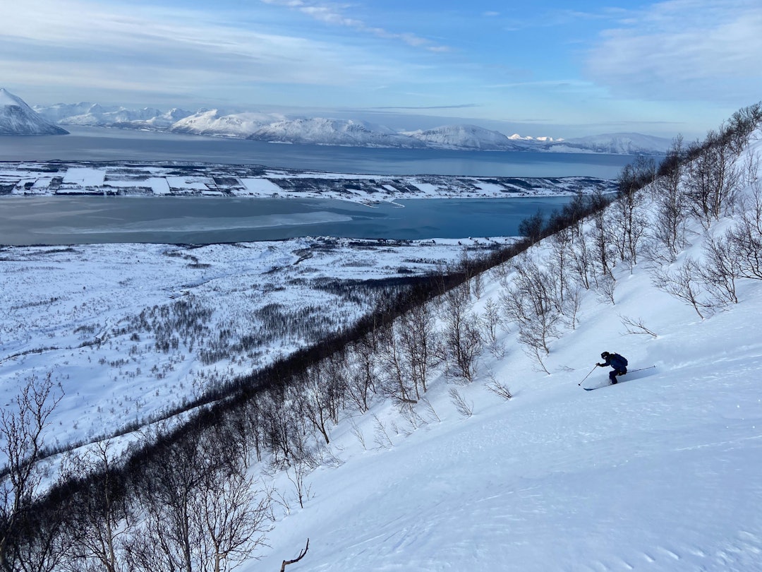 PÅ SKI FRA ERIKSAKSLA: Dette bildet av skikjøring fra Eriksaksla – en fortopp til Veidalsfjell – ble tatt vinteren 2021. Det viser ski om du tipper i retning sørvest fra selve ryggen. Foto: Finn K. Hovem Ski fra ERIKSAKSLA