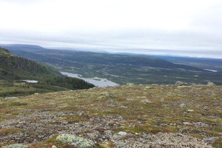 FJELLTID: Ormtjernkampen i Gudbrandsdalen. Foto: Morten Olsen Haugen Ormtjernkampen
