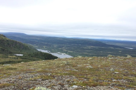 Ormtjernkampen i Gudbrandsdalen