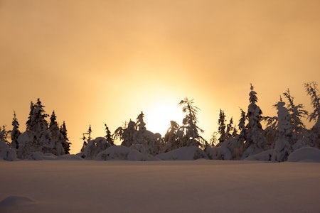 MYKT LYS: Og myk snø. Foto: Jan Hammershaug langsua gausdal vinter